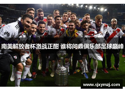 南美解放者杯激战正酣 谁将问鼎俱乐部足球巅峰