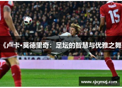 《卢卡·莫德里奇：足坛的智慧与优雅之舞》
