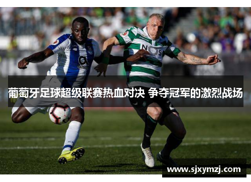 葡萄牙足球超级联赛热血对决 争夺冠军的激烈战场