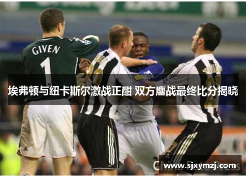 埃弗顿与纽卡斯尔激战正酣 双方鏖战最终比分揭晓